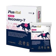 Plusvital Recovery 7 / Zotavenie-7 dní 