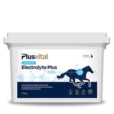 Plusvital Electrolyte Plus 4kg
