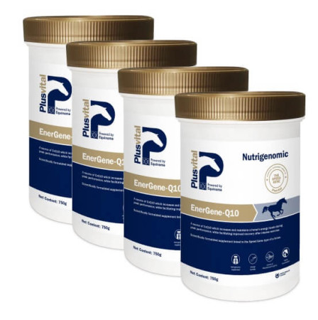 Plusvital EnerGene-Q10 - optimalizácia energie
